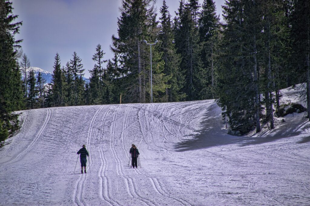 AOK-Gesundheitstipp: Fit auf den schönsten Loipen im Naturpark