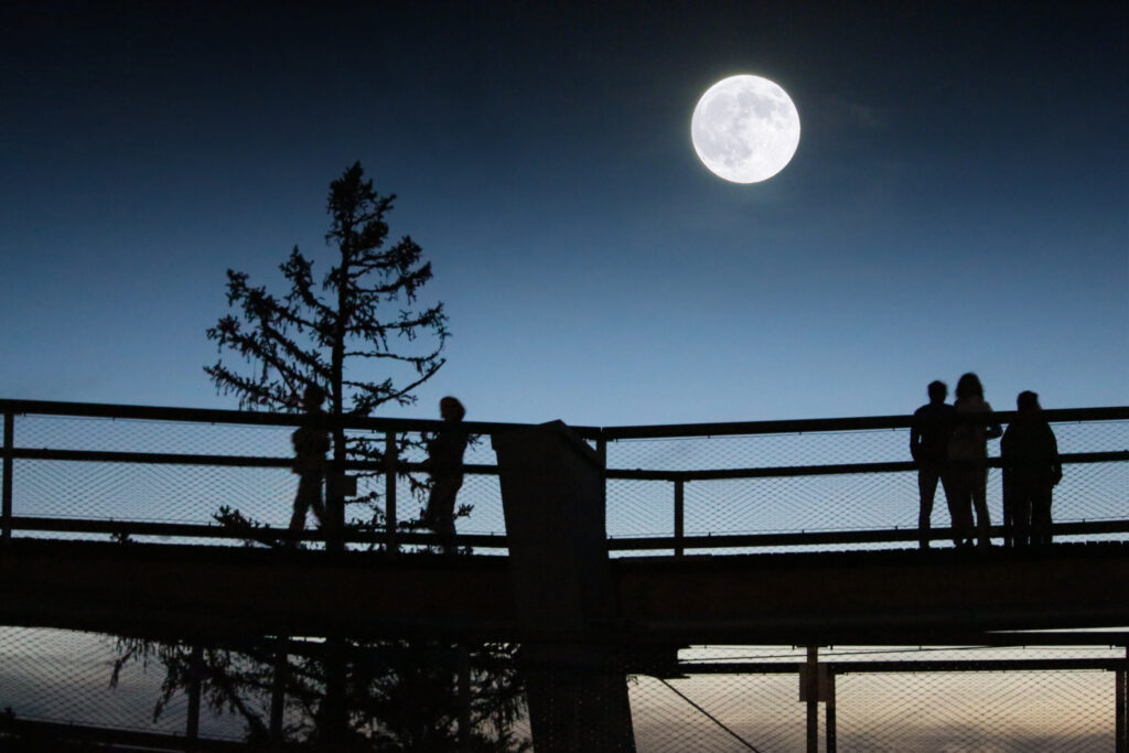 Baumwipfelpfad bei Sonnenaufgang, Sonnenuntergang und Vollmond