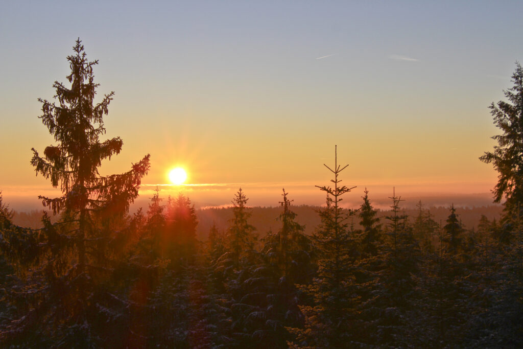 Baumwipfelpfad bei Sonnenaufgang, Sonnenuntergang und Vollmond