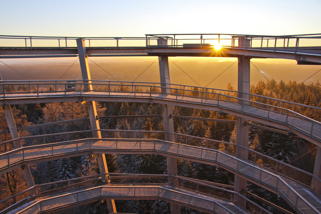 Baumwipfelpfad bei Sonnenaufgang, Sonnenuntergang und Vollmond