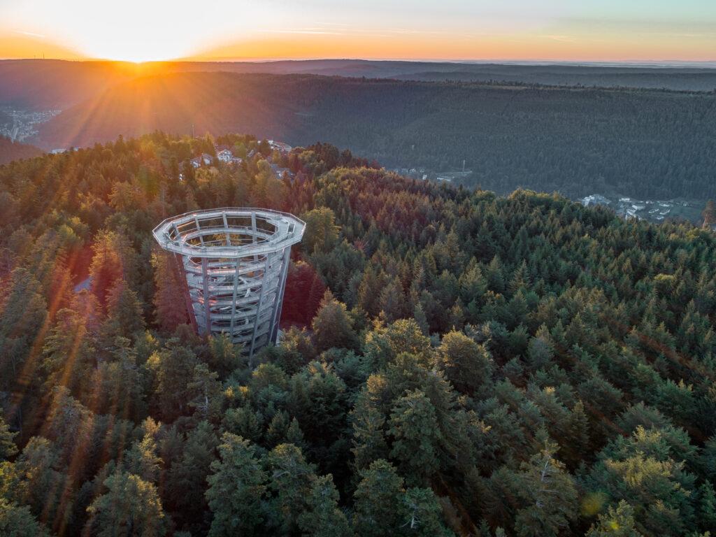 Baumwipfelpfad bei Sonnenaufgang, Sonnenuntergang und Vollmond