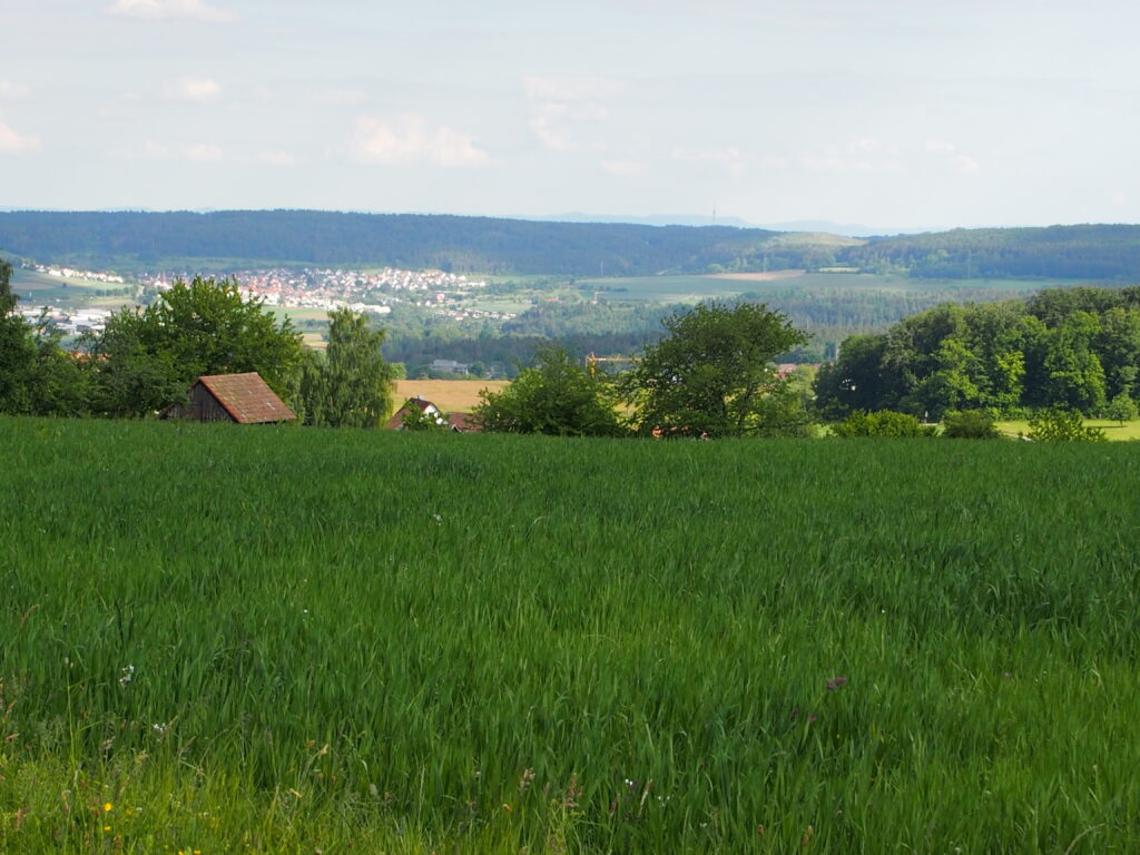 Alpirsbacher Tourentipp - Klosterrundweg Calw-Altburg