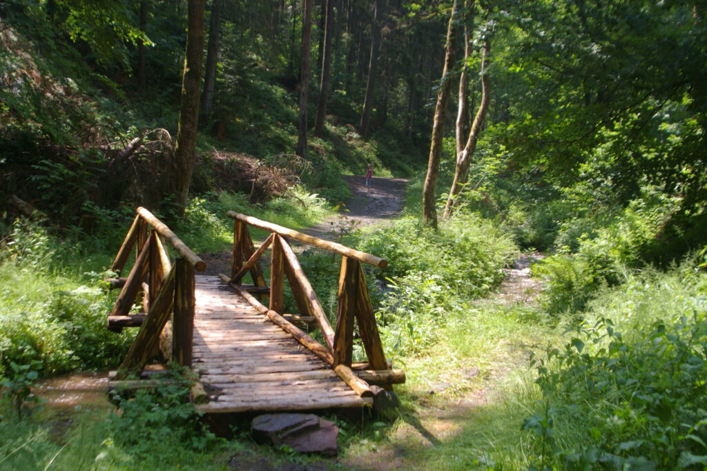 Alpirsbacher Tourentipp - Klosterrundweg Calw-Altburg