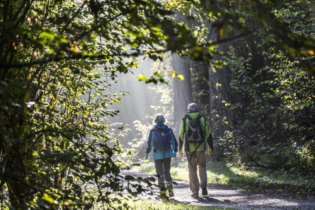 Naturpark-AugenBlick-Runde Tiefenbronn