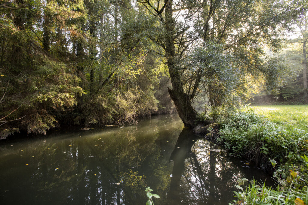 Naturpark-AugenBlick-Runde Tiefenbronn