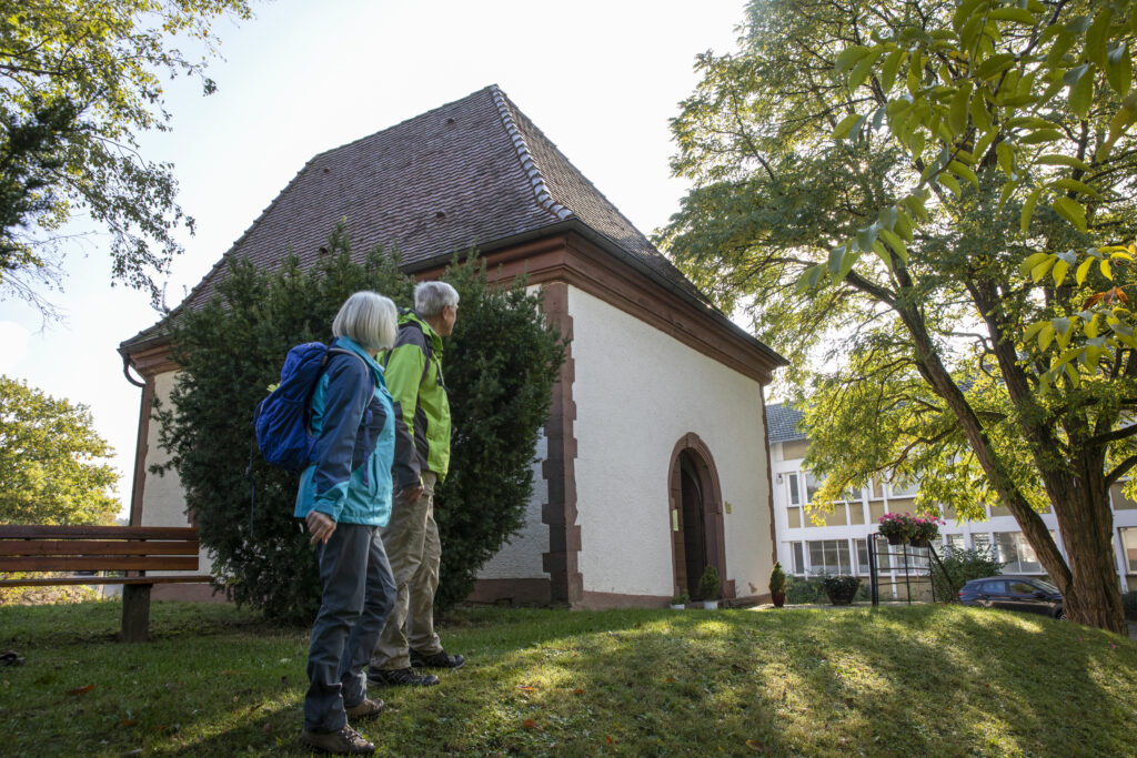 Naturpark-AugenBlick-Runde Tiefenbronn