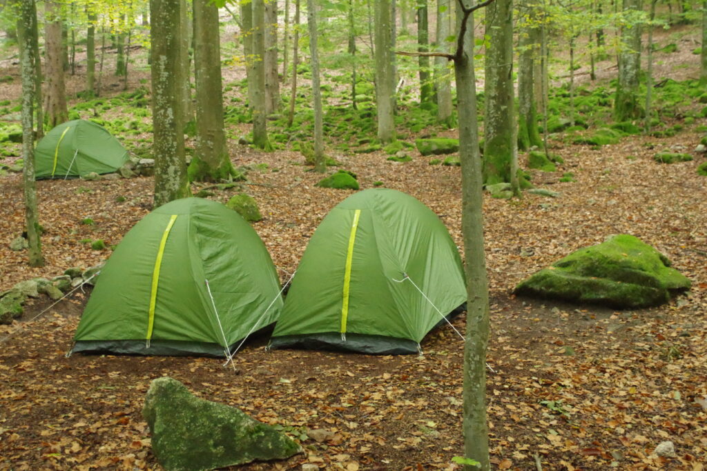 Trekking Schwarwald - Wochenende mit Christoph Maretzek