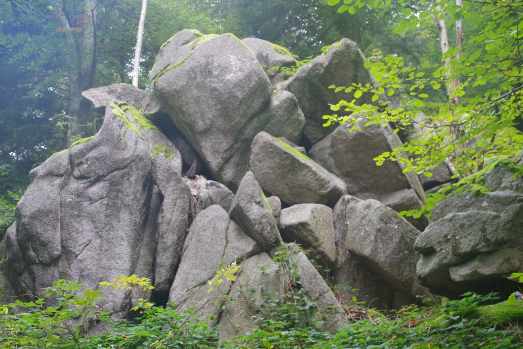 Trekking Schwarwald - Wochenende mit Christoph Maretzek