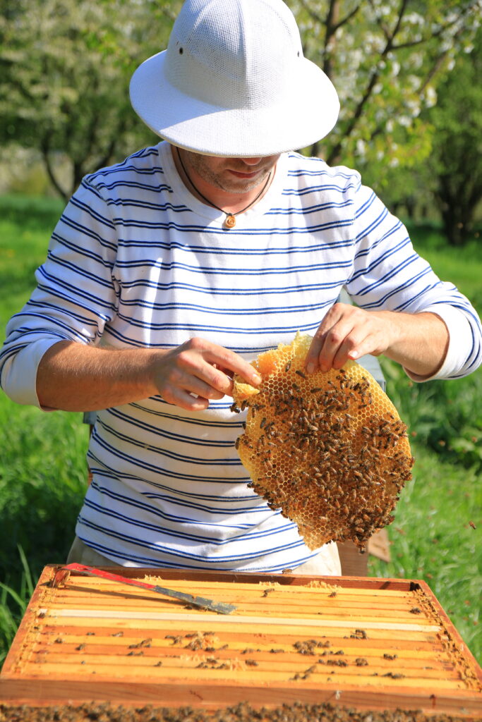 Cum Natura - Gelée Royale