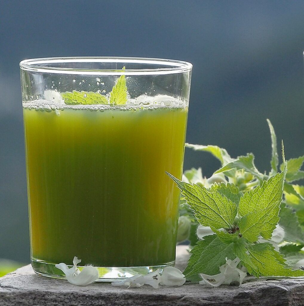 Kräuterkunde Monika Wurft - Weiße Taubnessel