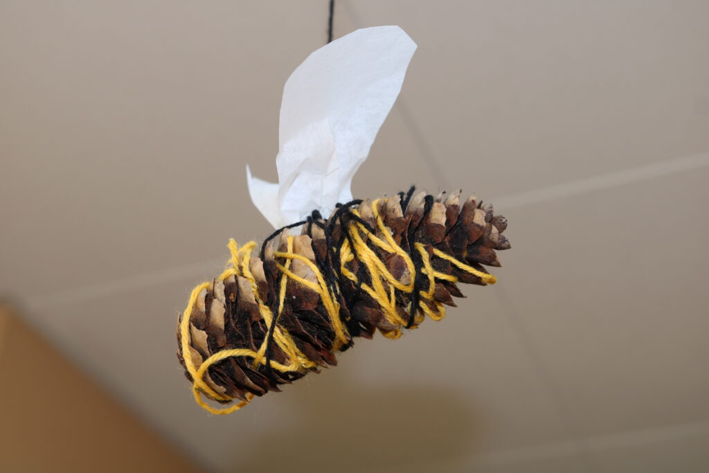 Kindergarten "Purzelbaum" in Enzklösterle - erster Naturpark-Kindergarten