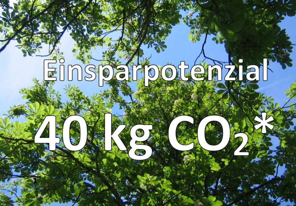 Der CO2-Fußabdruck unseres digitalen Lebensstils