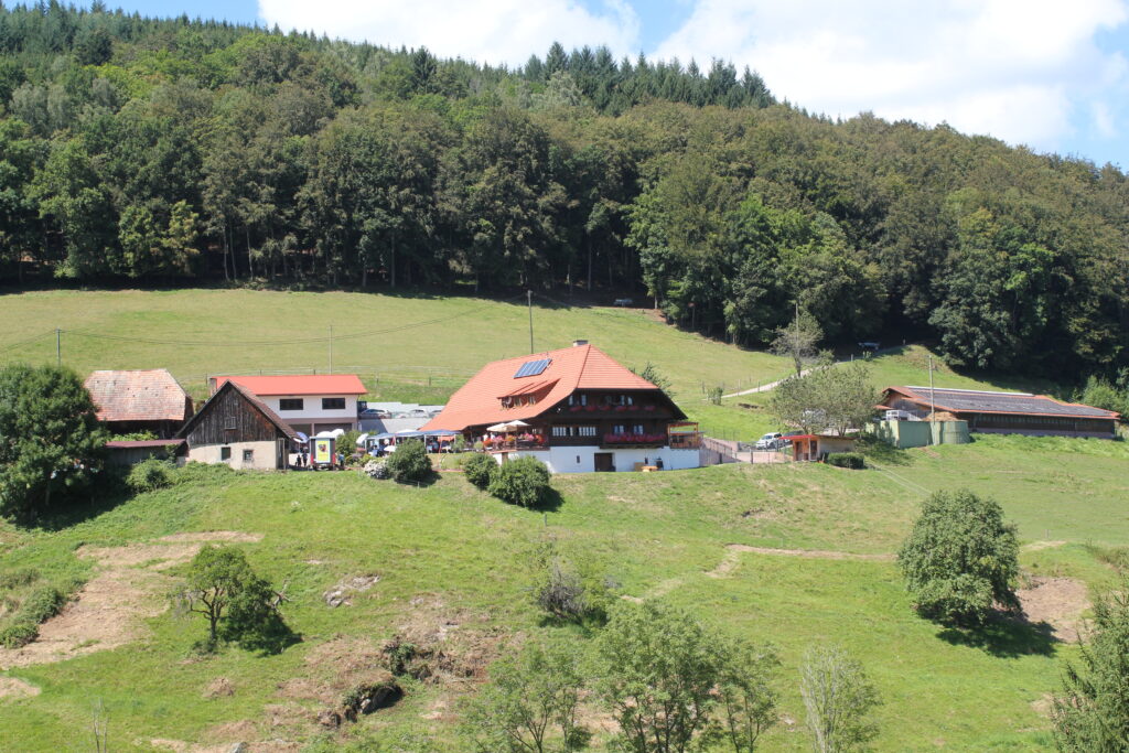 Klimatipp Solidarische Landwirtschaft Solawi