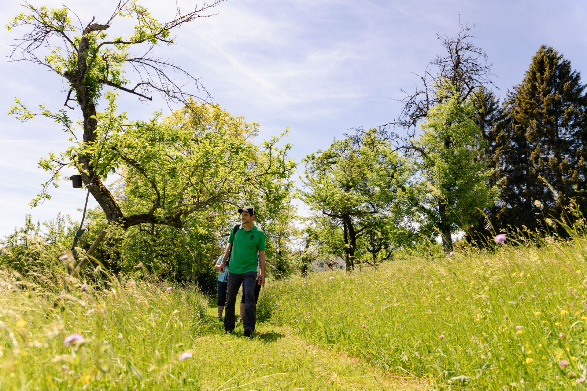Schwarzwald-Guide Thomas Bühler in Nagold - NaTour vom Gartenzaun zum Landschaftsraum - Streuobstwiesen