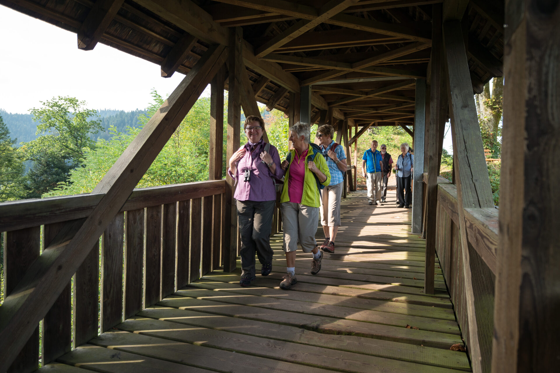 Alpirsbacher Tourentipp - Naturpark-AugenBlick-Runde Schiltach