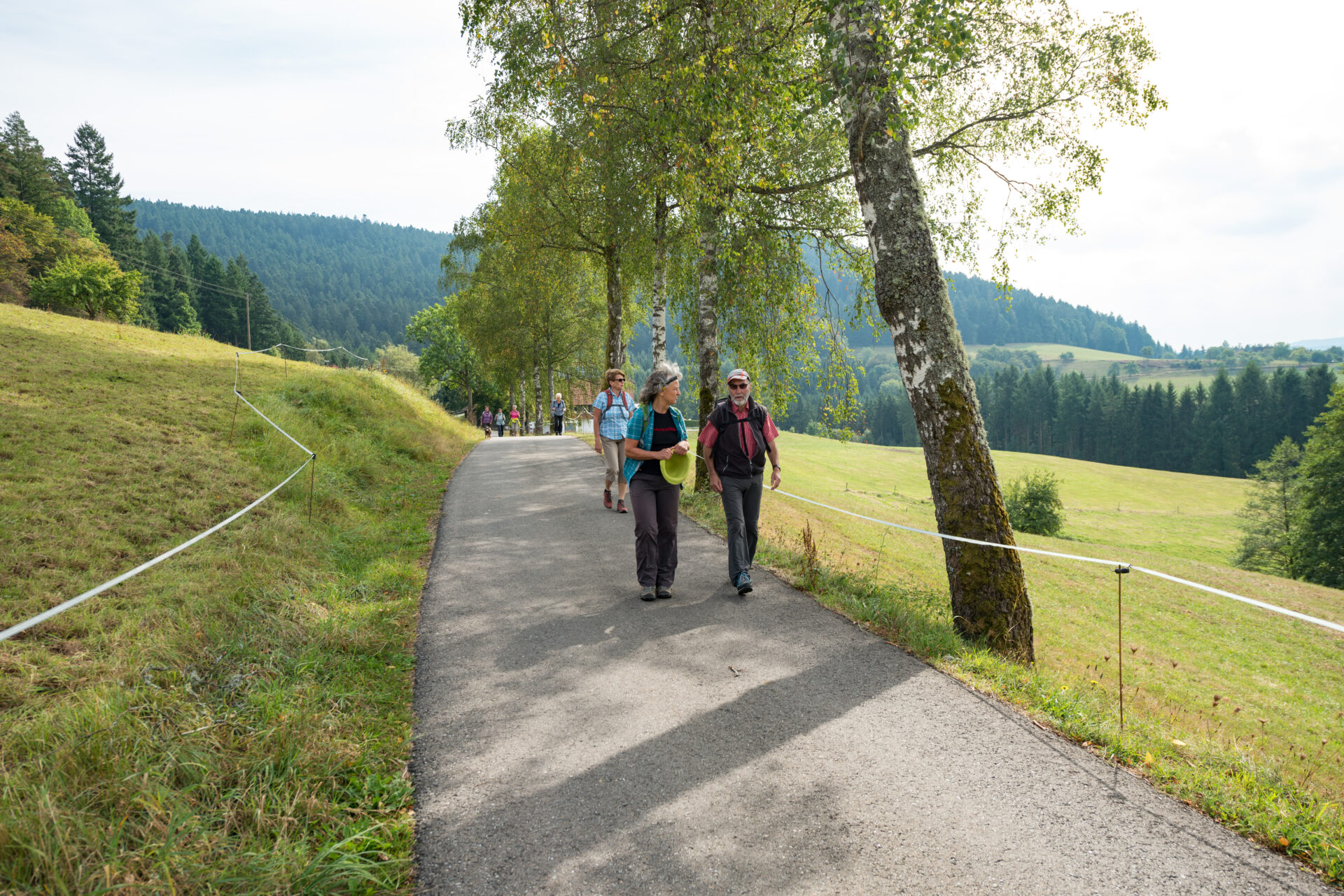 Alpirsbacher Tourentipp - Naturpark-AugenBlick-Runde Schiltach
