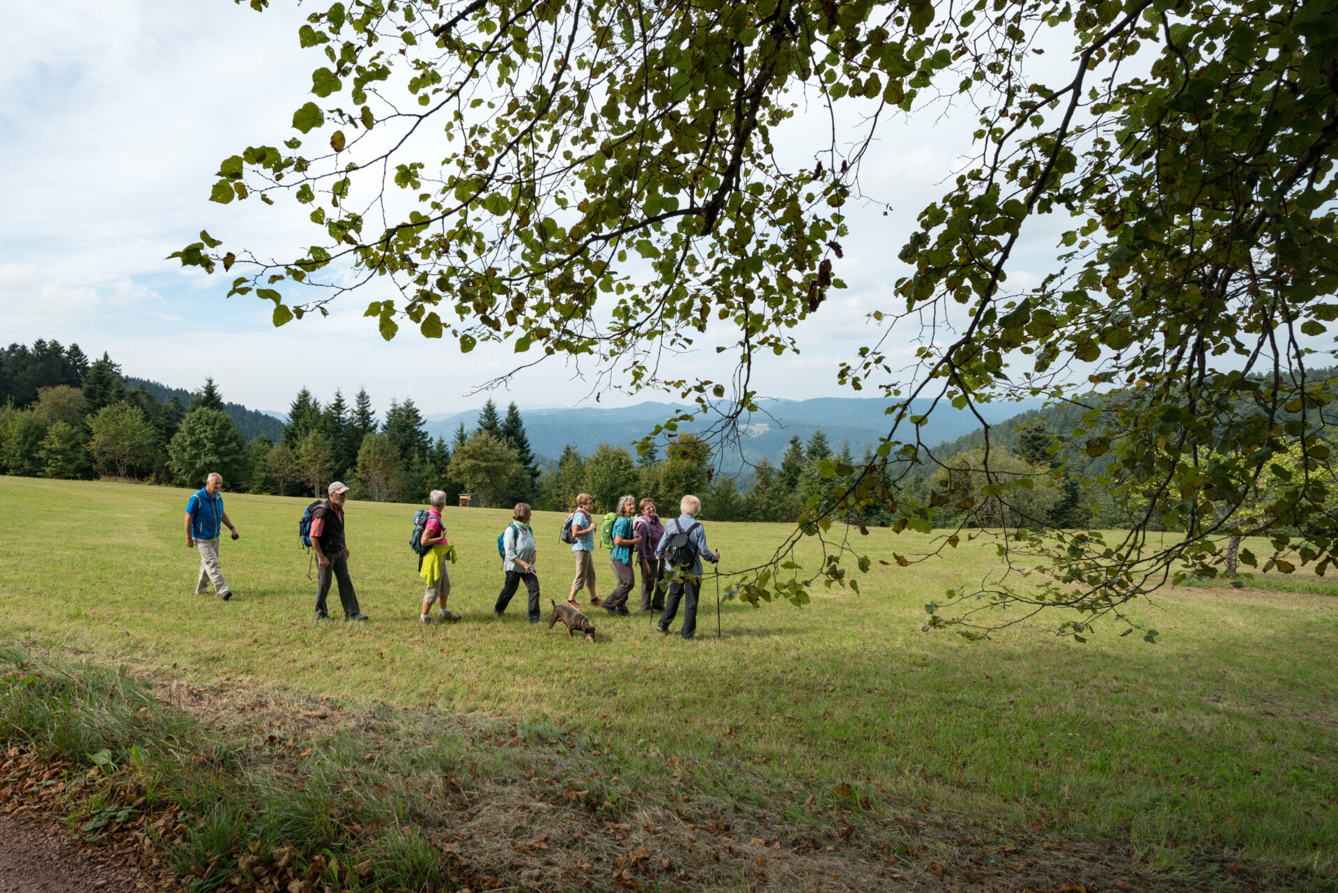 Alpirsbacher Tourentipp - Naturpark-AugenBlick-Runde Schiltach