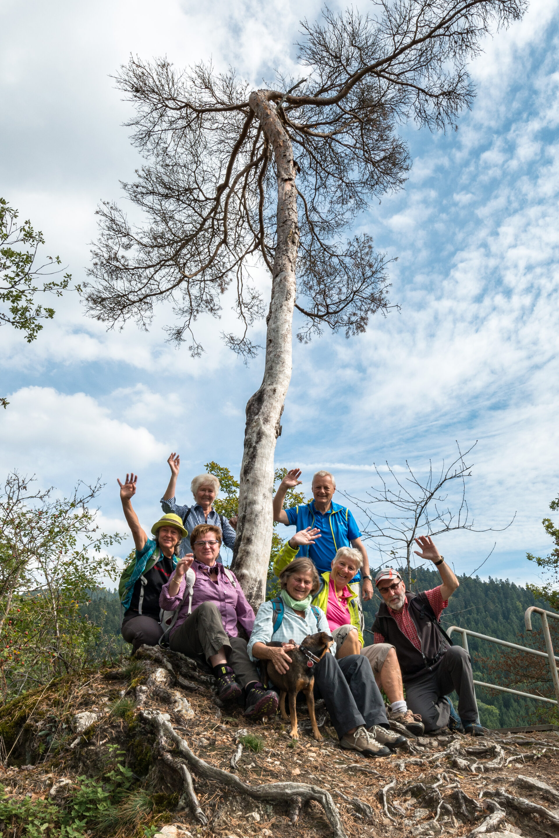 Alpirsbacher Tourentipp - Naturpark-AugenBlick-Runde Schiltach