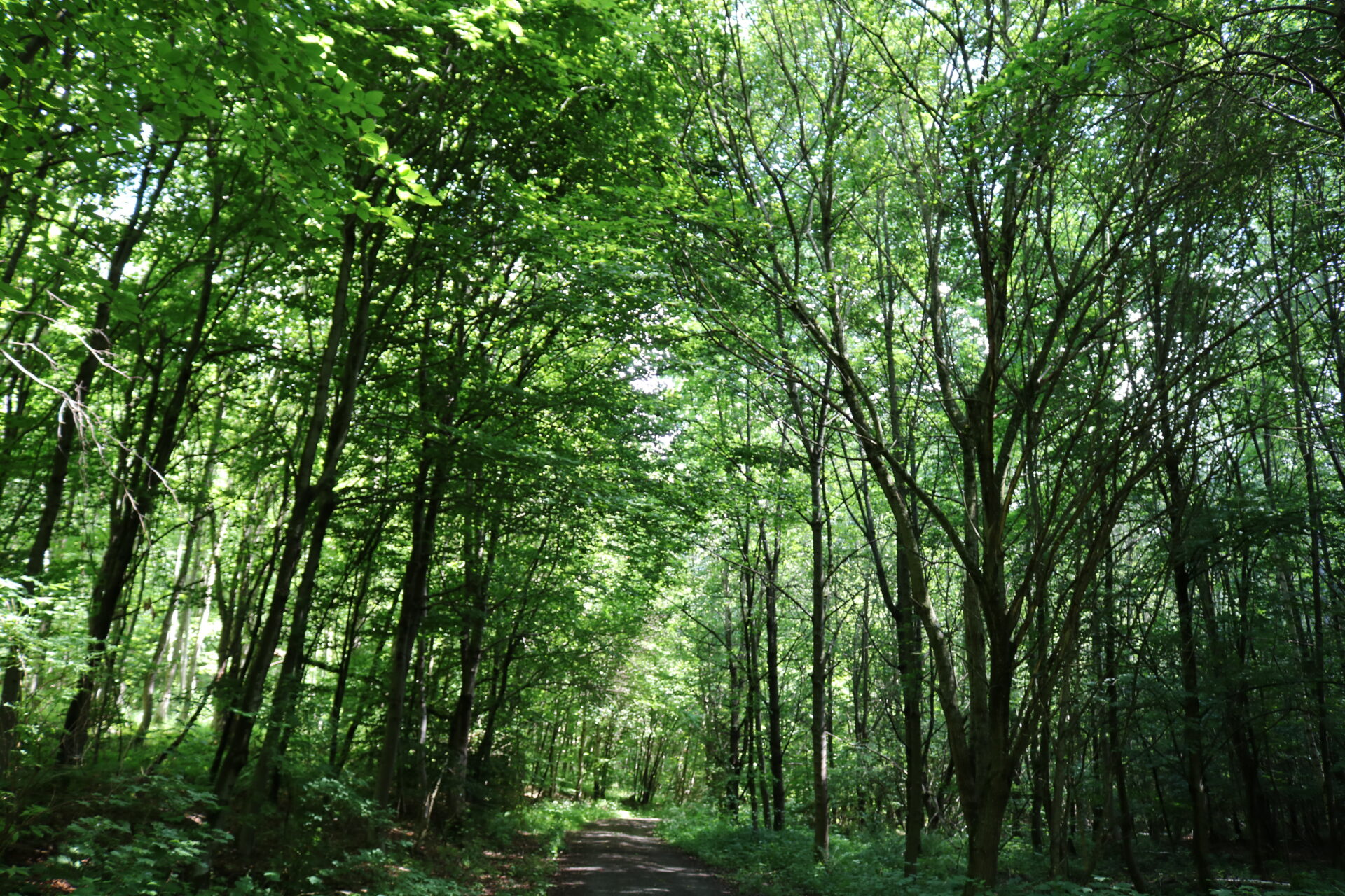Saisonstart Schwarzwald-Guides - von Superfood bis Trekking