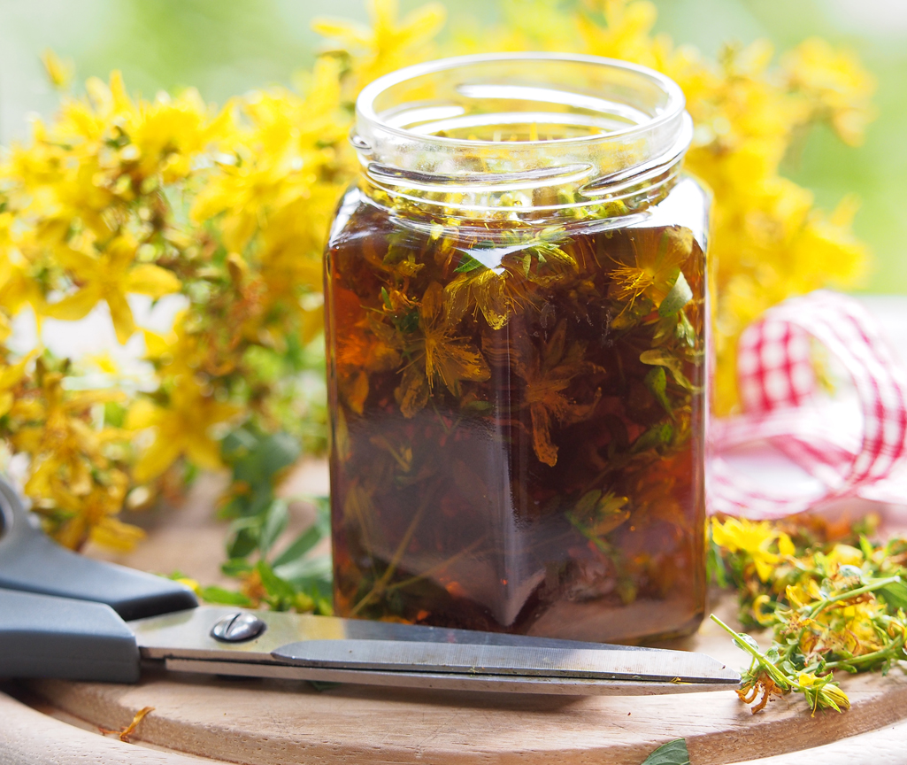 Kräuterwissen mit Schwarzwald-Guide Monika Wurft - Johanniskraut