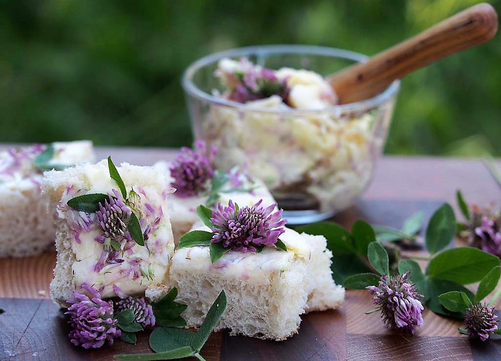 Kräuterwissen mit Monika Wurft - Roter Wiesenklee