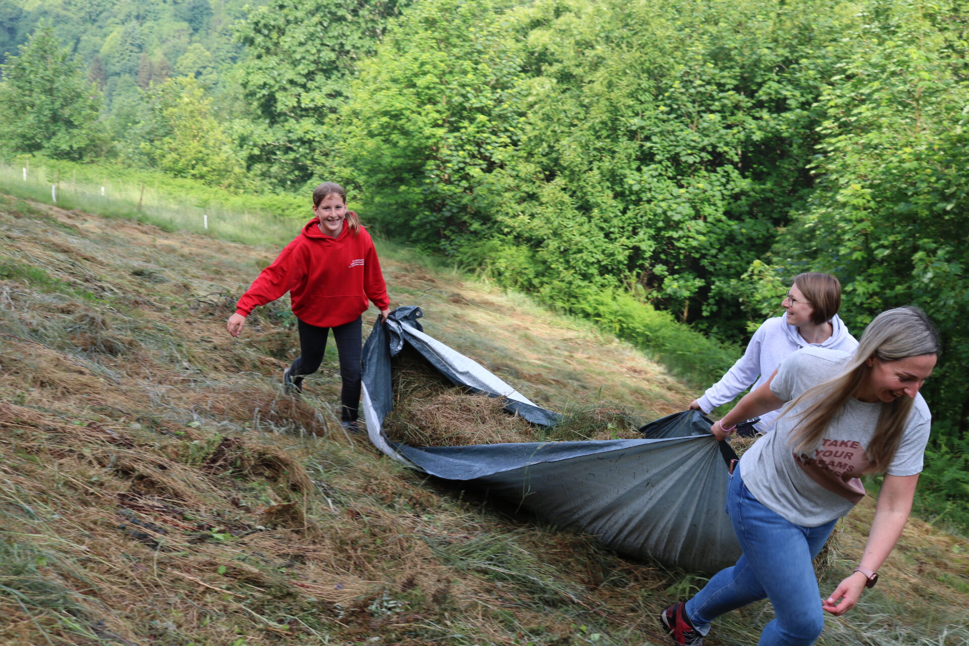 Herzenssache Natur Lautenbach - Lebensraum für den Ameisenbläuling