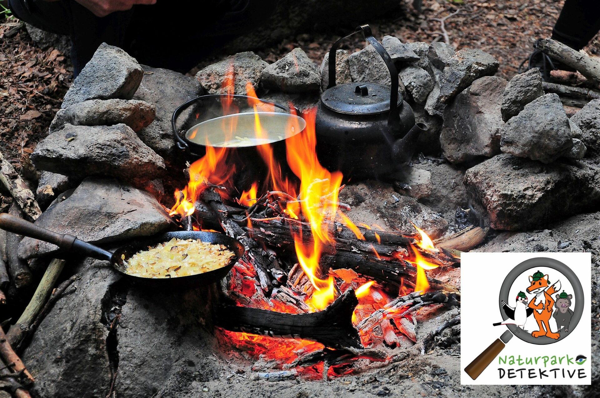 Naturpark-Detektive - Outdoor-Koch-Event mit badenova