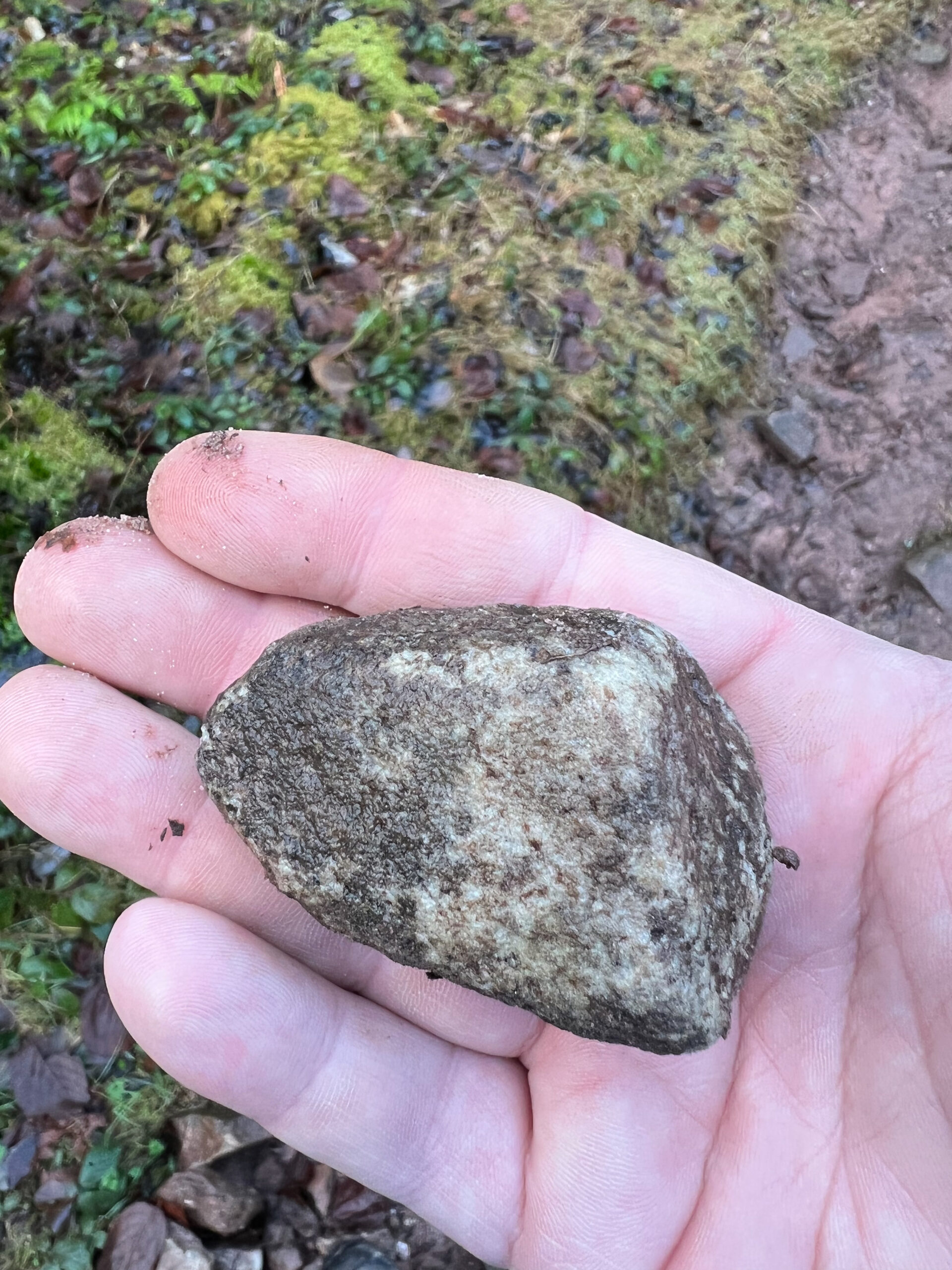 Ausbildung zum Schwarzwald-Guide - Reportage von Nicolai Stotz