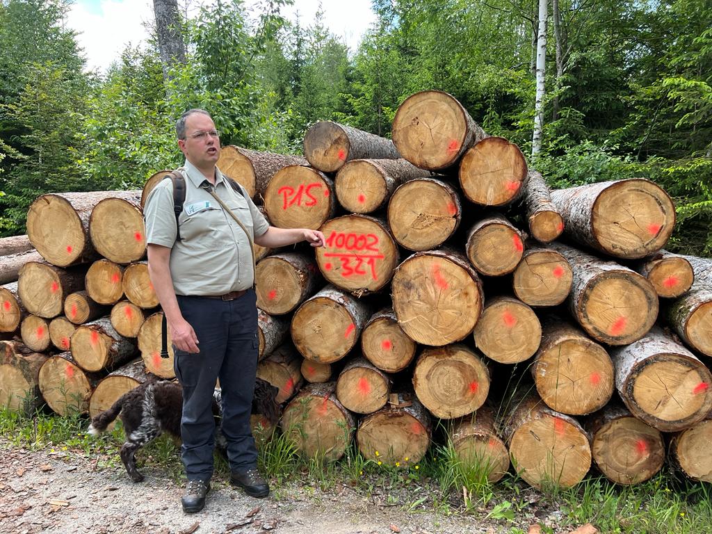 Ausbildung zum Schwarzwald-Guide - Reportage von Nicolai Stotz