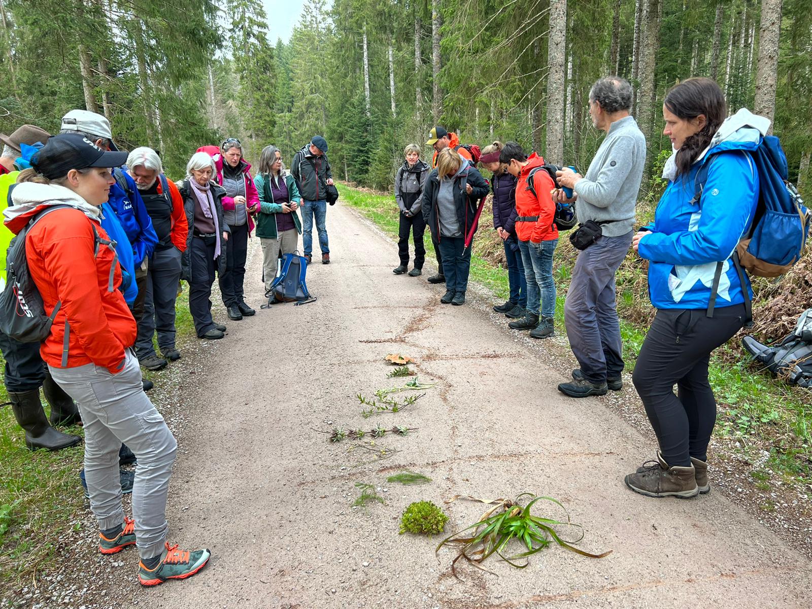 Ausbildung zum Schwarzwald-Guide - Reportage von Nicolai Stotz
