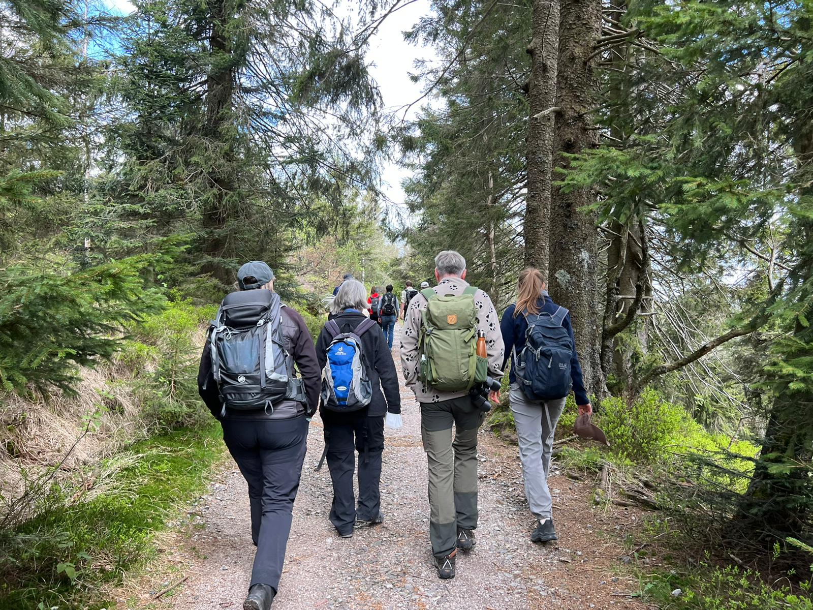 Ausbildung zum Schwarzwald-Guide - Reportage von Nicolai Stotz