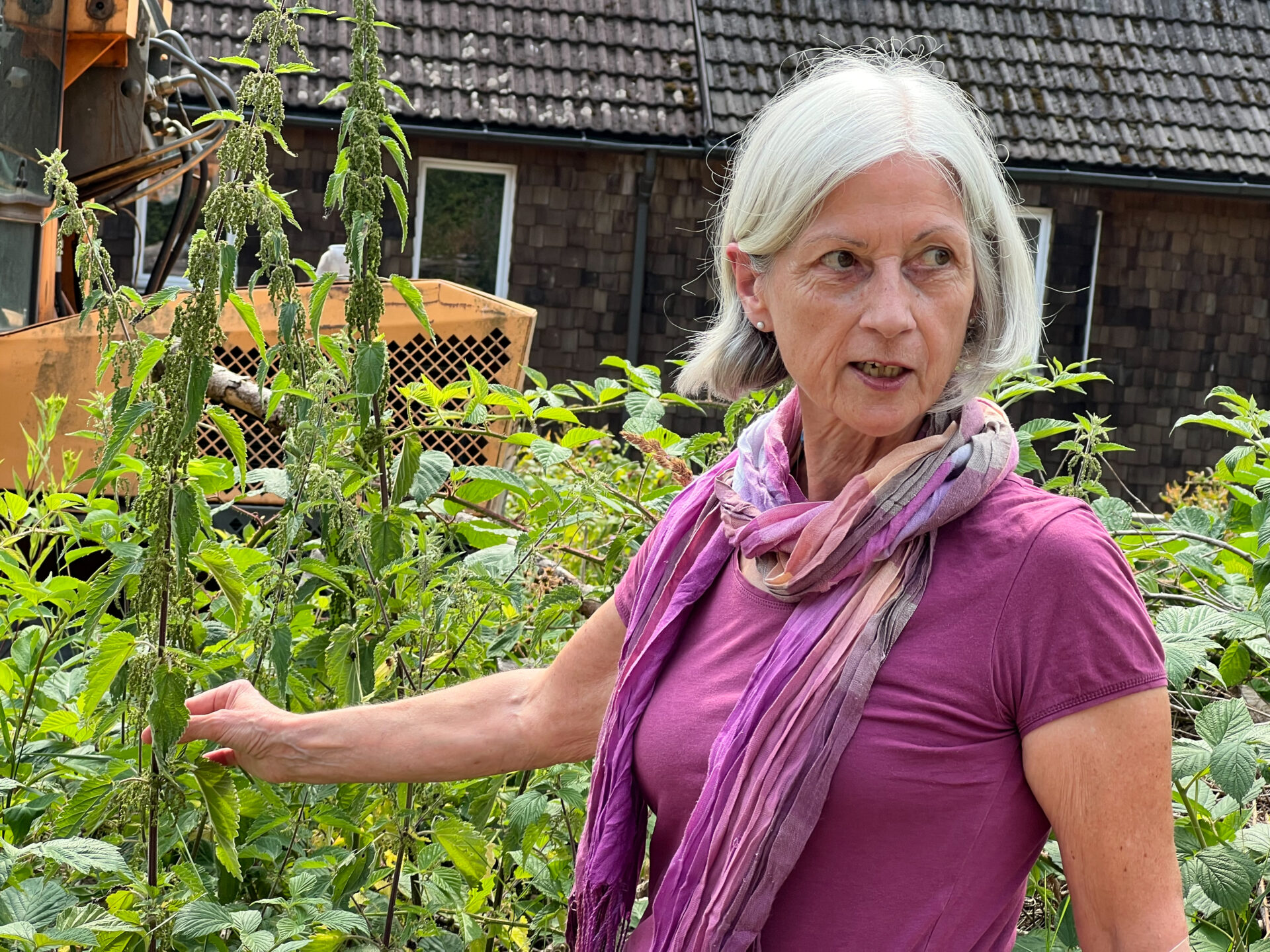 Ausbildung zum Schwarzwald-Guide - Reportage von Nicolai Stotz