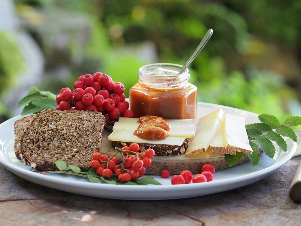 Kräuterwissen mit Monika Wurft - Vogelbeere - Eberesche