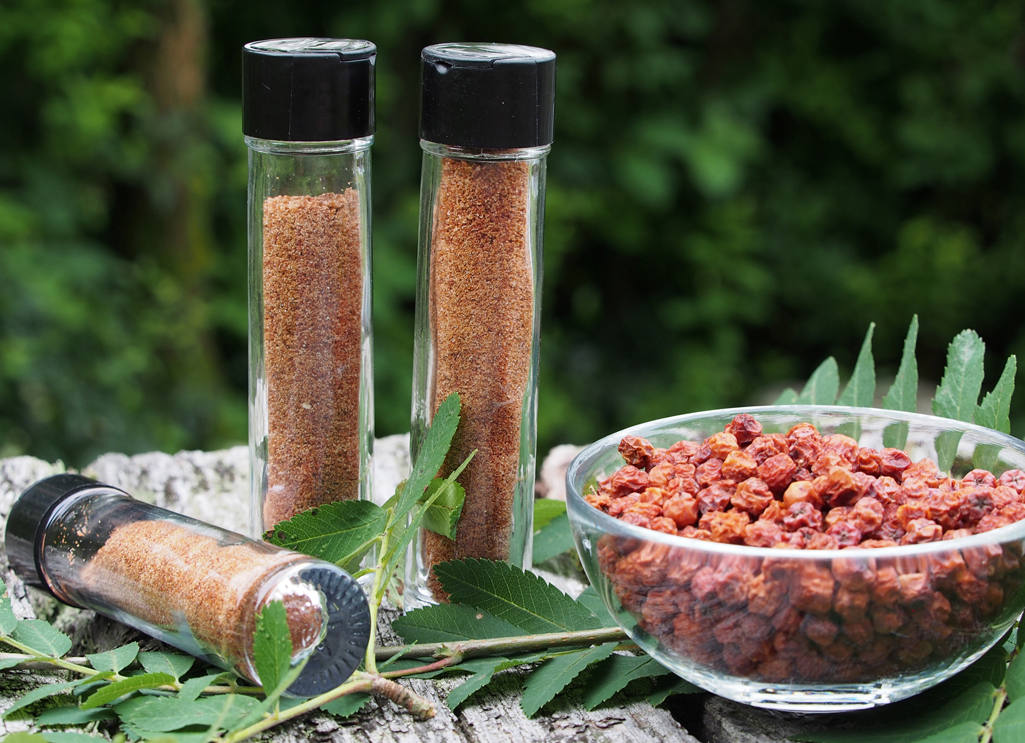 Kräuterwissen mit Monika Wurft - Vogelbeere - Eberesche