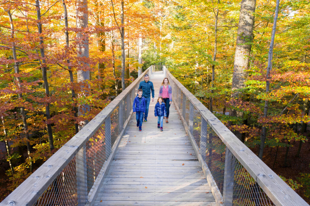 Halloween auf dem Baumwipfelpfad