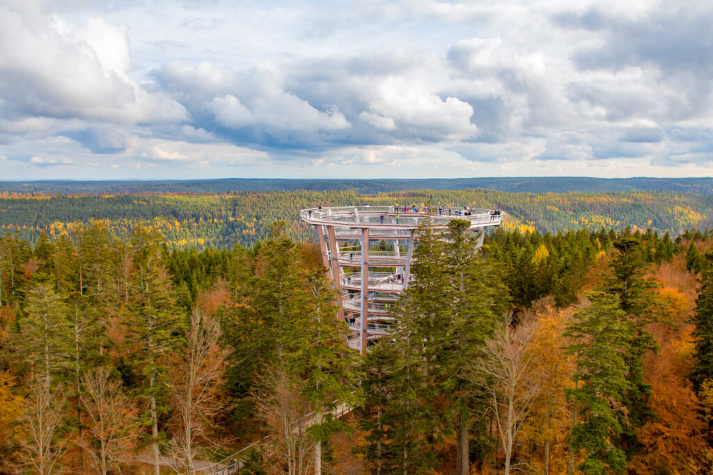 Halloween auf dem Baumwipfelpfad