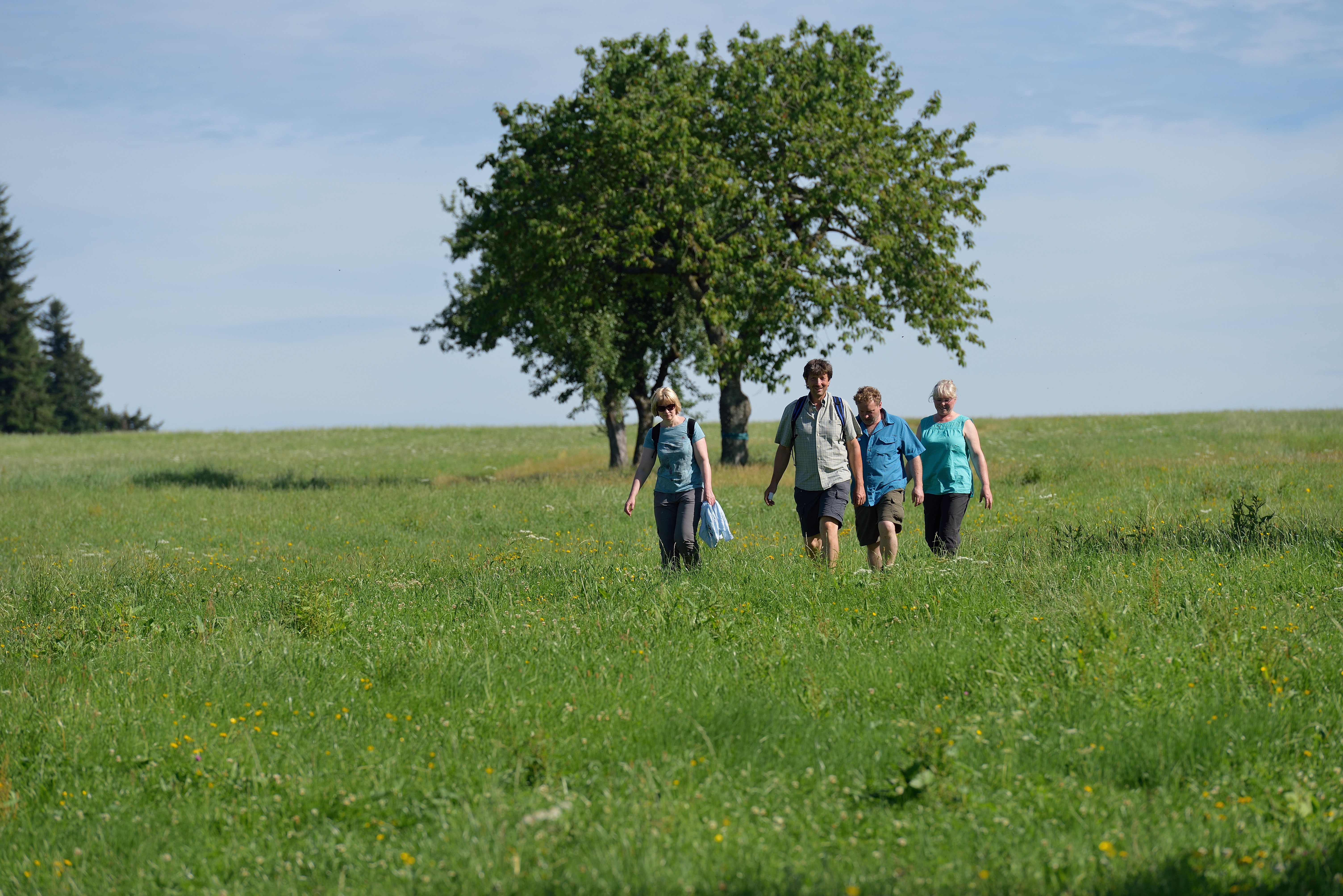 Naturpark-AugenBlick-Runde Neuweiler-Agenbach