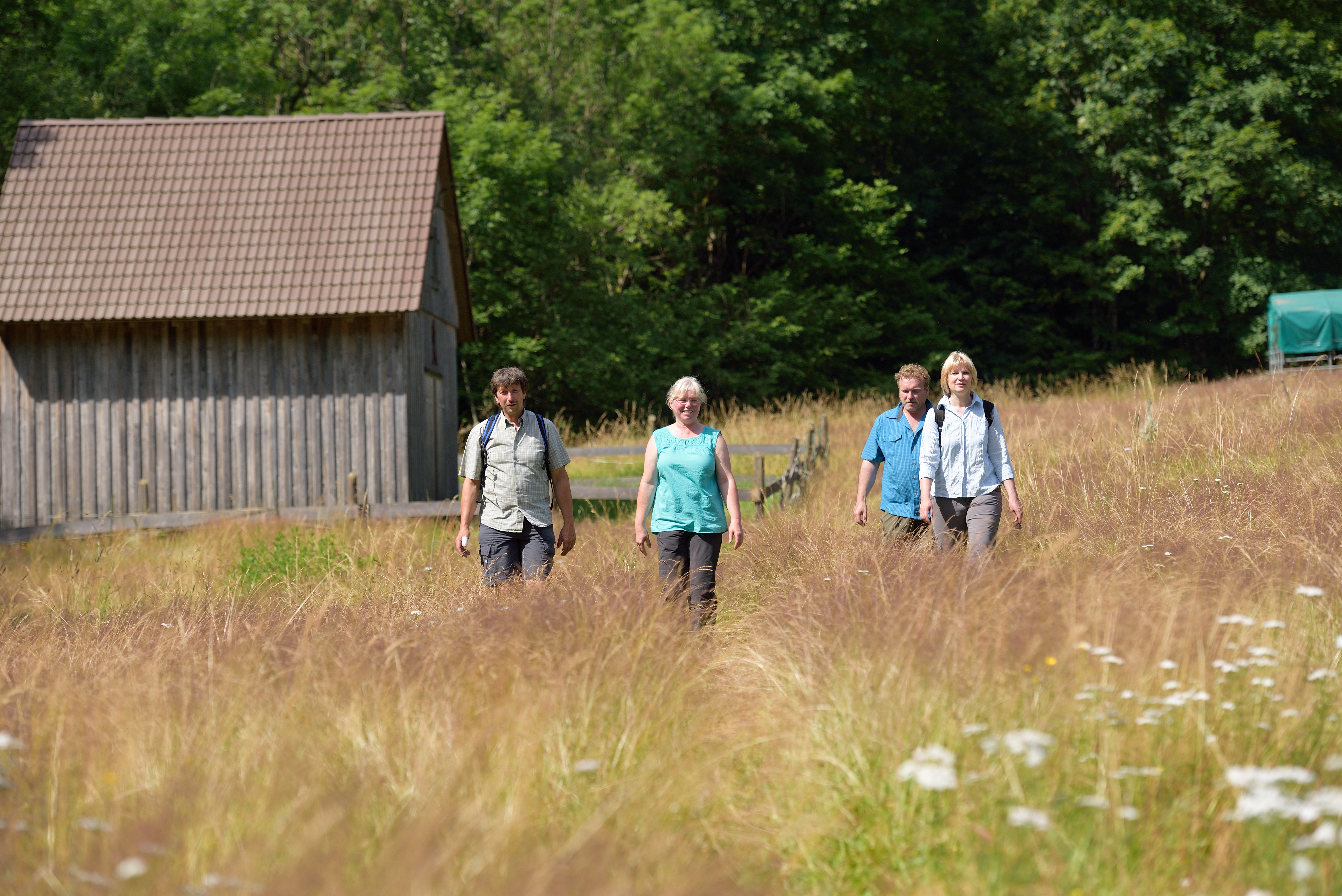 Naturpark-AugenBlick-Runde Neuweiler-Agenbach