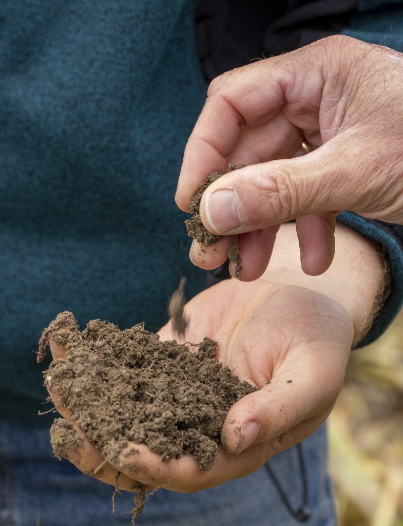 Hofbesuche Humusprojekt