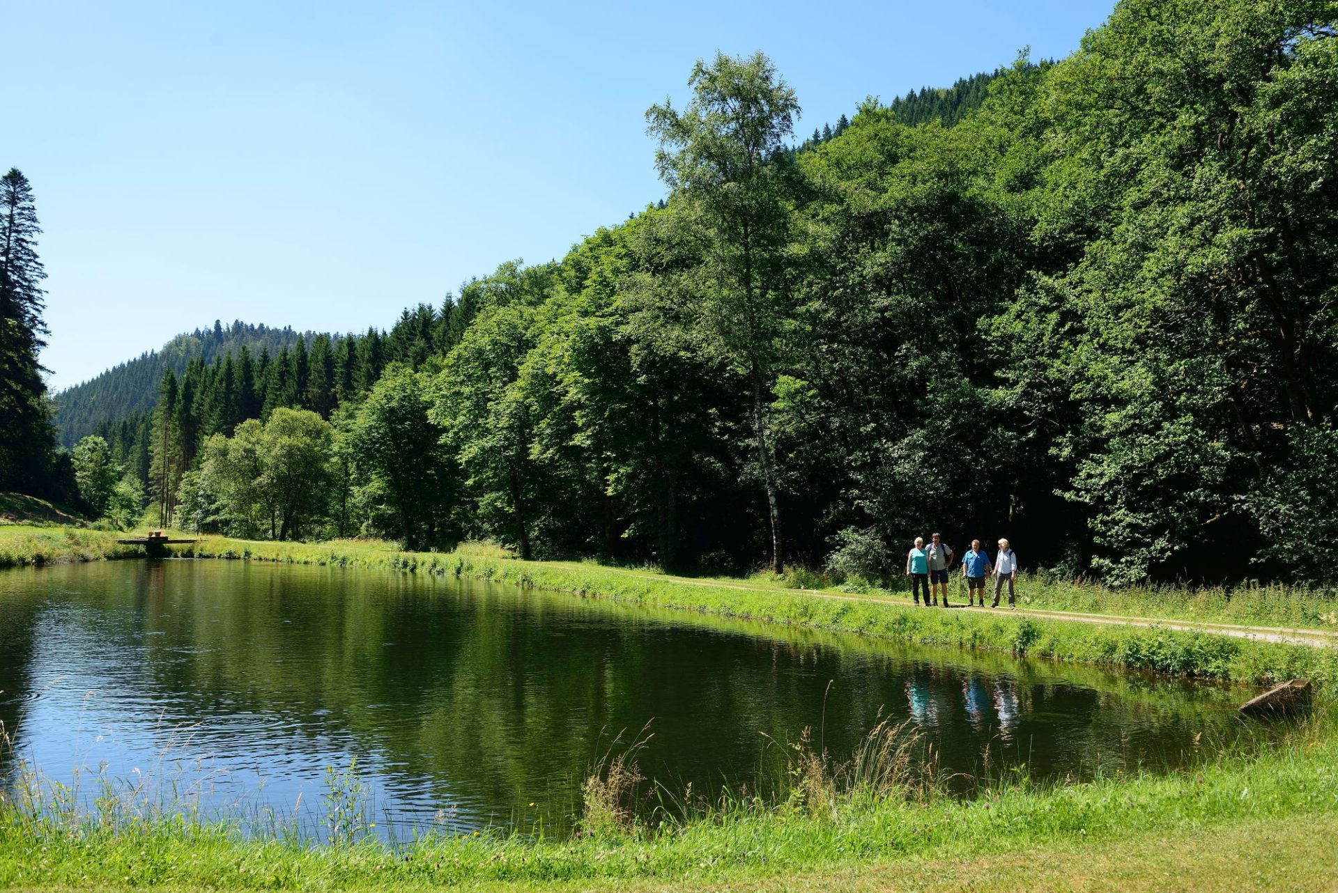 https://naturparkschwarzwald.blog/naturpark-augenblick-runde-agenbach/