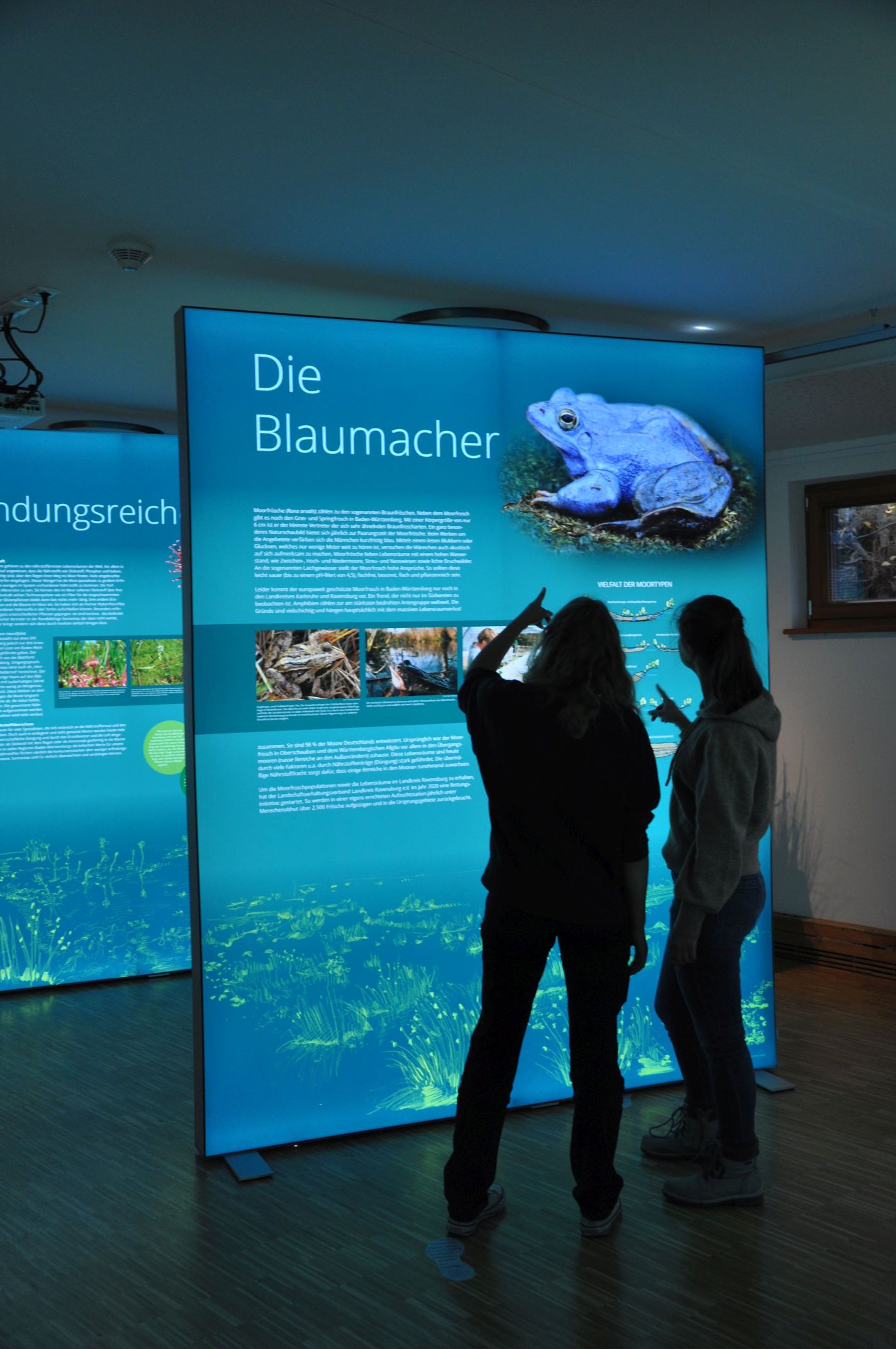 Infozentrum Kaltenbronn - Sonderausstellung "Zukunft Moor!"