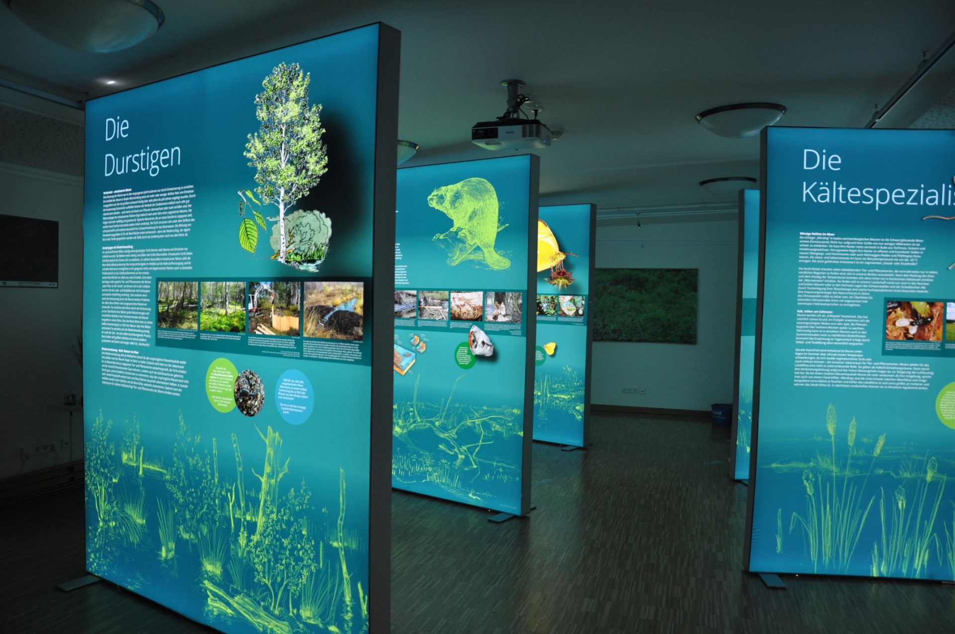 Infozentrum Kaltenbronn - Sonderausstellung "Zukunft Moor!"