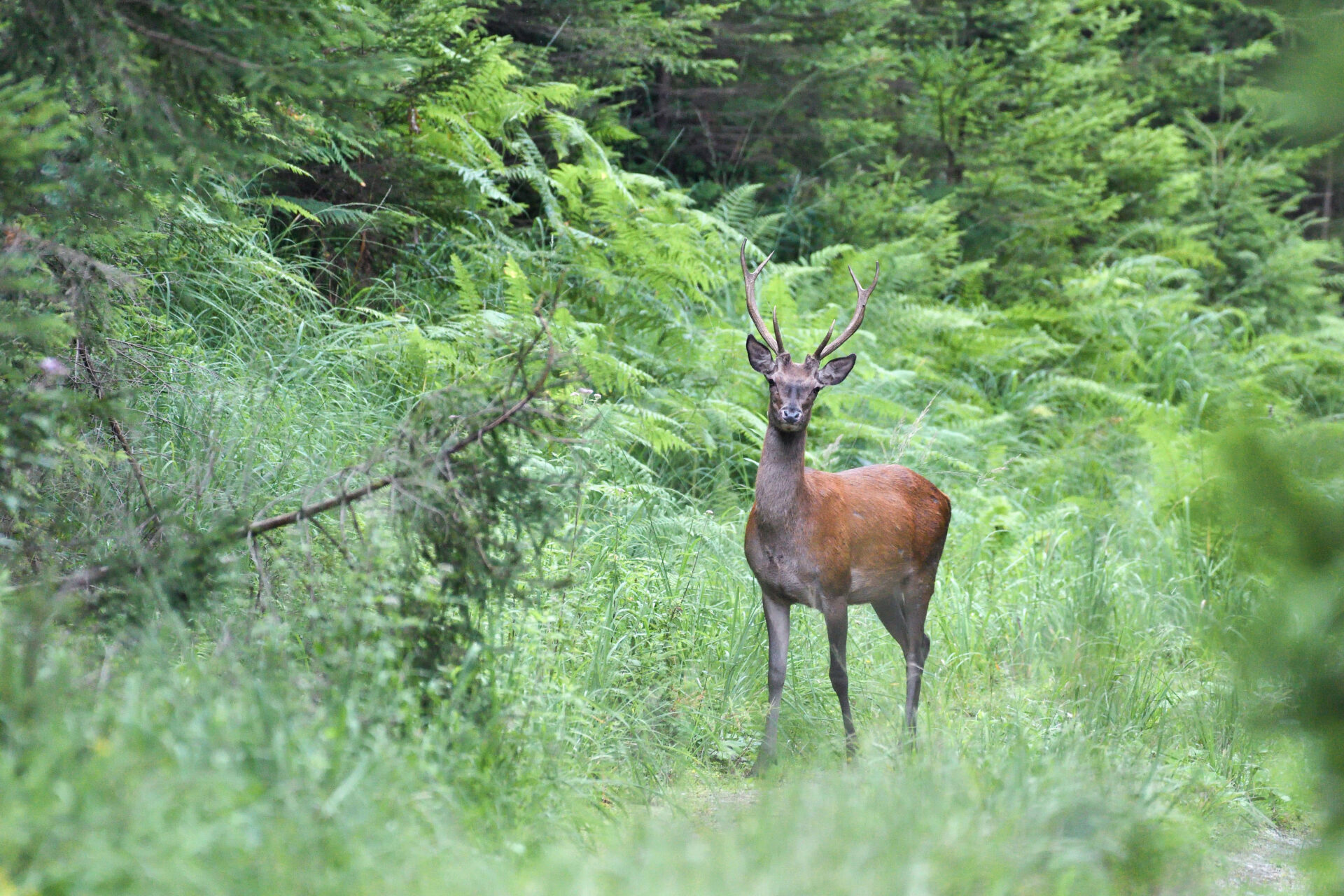 Trekkingtipps bewusstWild - mit Rücksicht unterwegs
