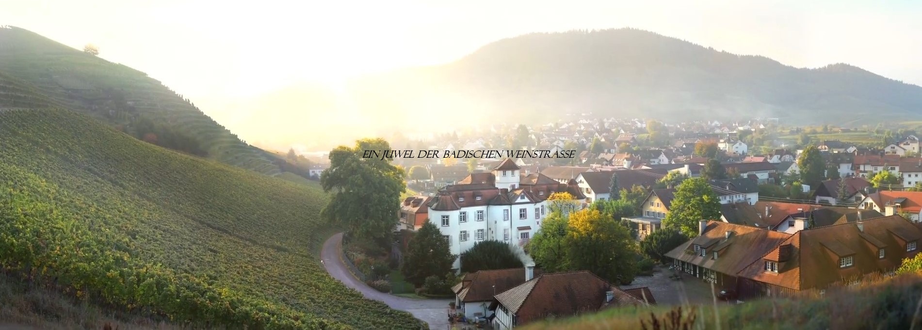 Naturpark-Partner Weingut Schloss Neuweier