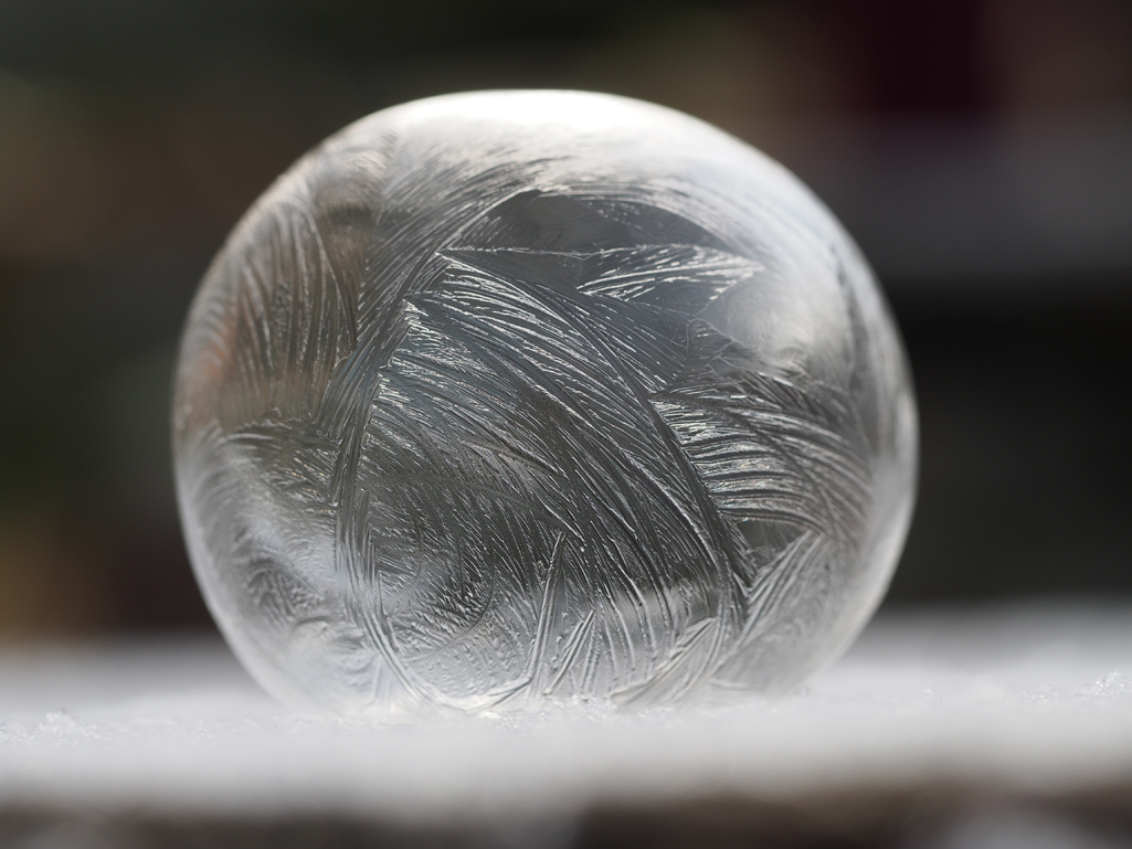 Kräuterwissen mit Monika Wurft - Eiskräuter