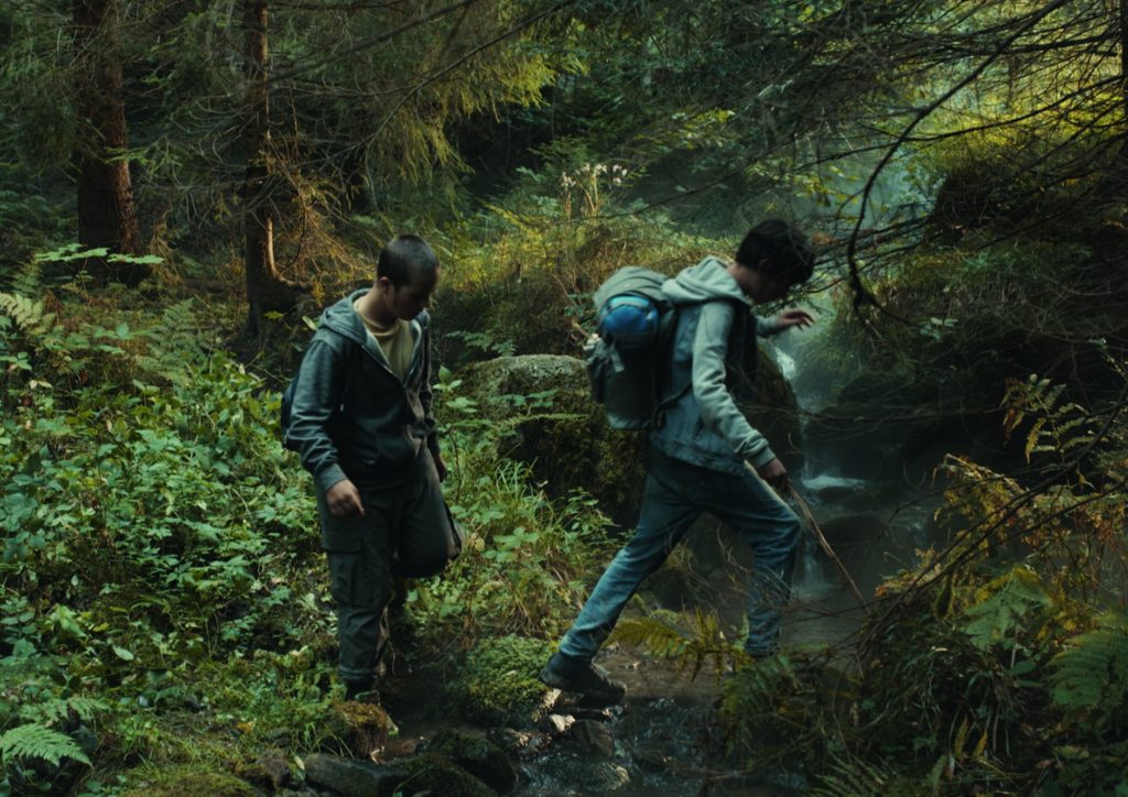 badenova Kino-Event Nachtwald mit den Naturpark-Dektektiven in Achern