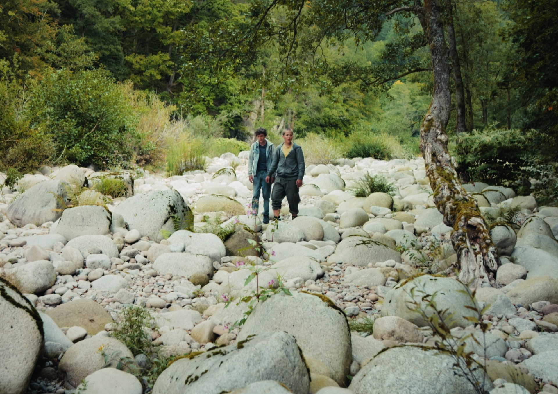 badenova Kino-Event Nachtwald mit den Naturpark-Dektektiven in Achern