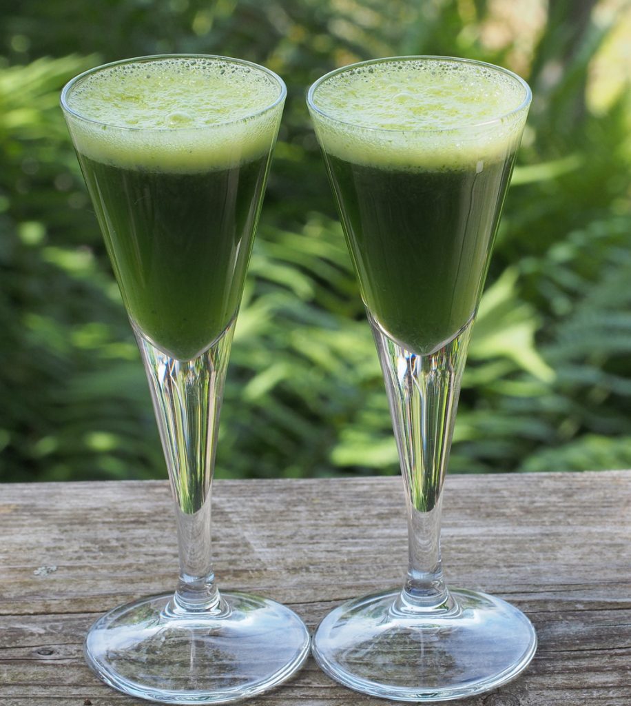 Wildkräuterwissen Scharbockskraut