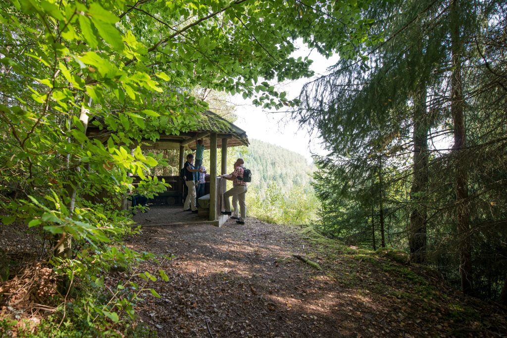 Alpirspbacher Tourentipp AugenBlick-Runde Bad Teinach-Zavelstein