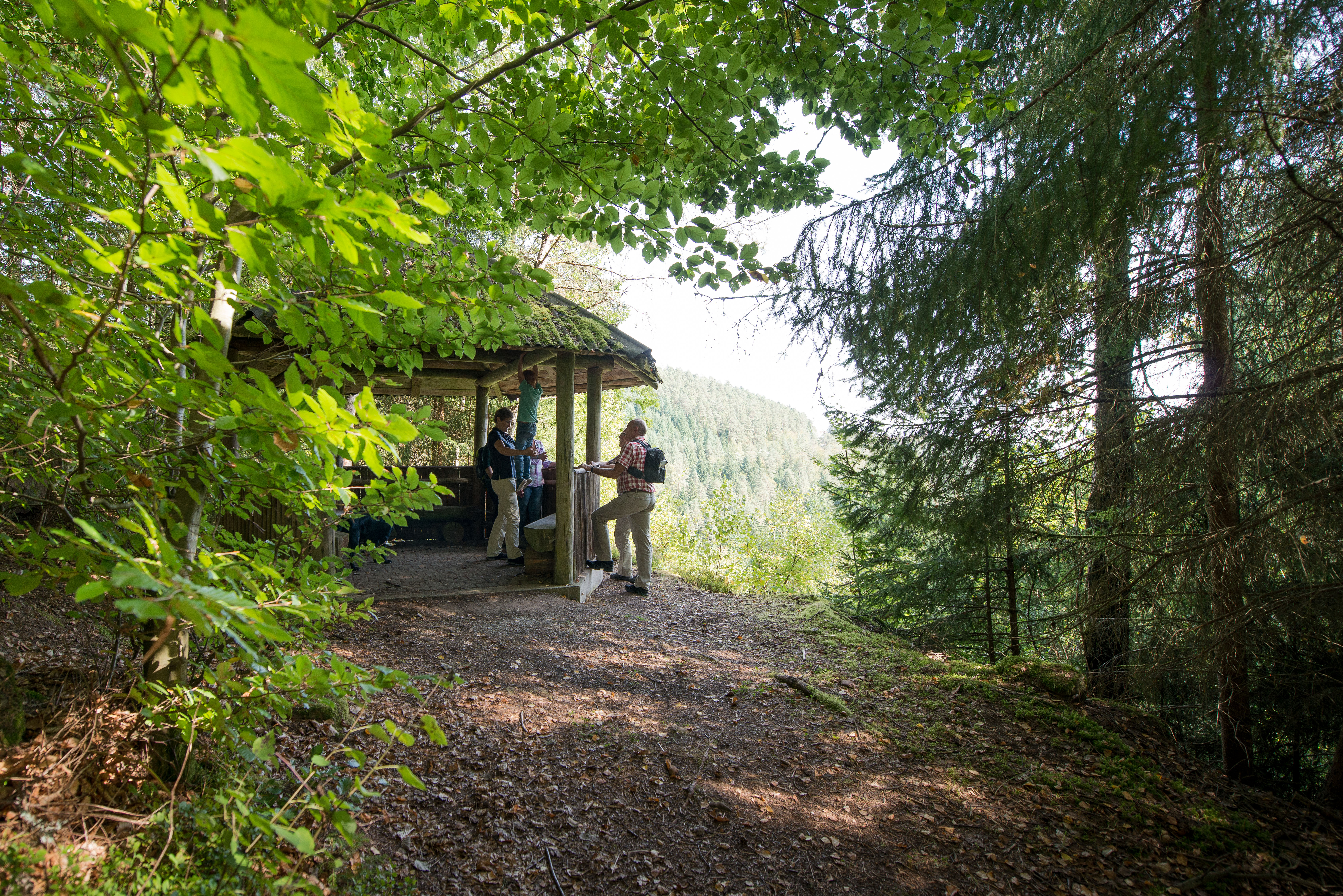 DSC_4398 Alpirspbacher Tourentipp AugenBlick-Runde Bad Teinach-Zavelstein